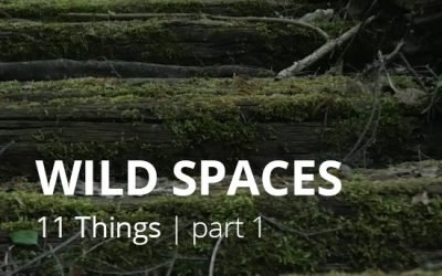 #1 WILD SPACES