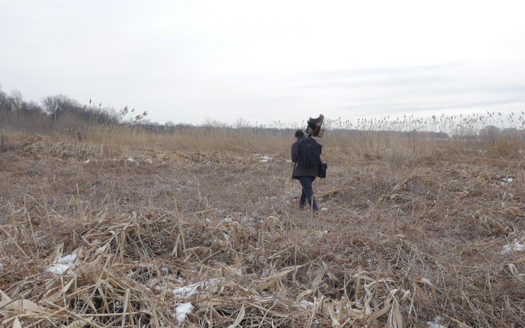 FLUSHING MEADOWS | new beginnings