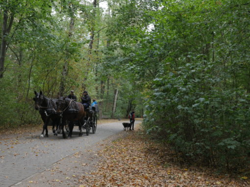 NEUKÖLLN WEG | the green corridor